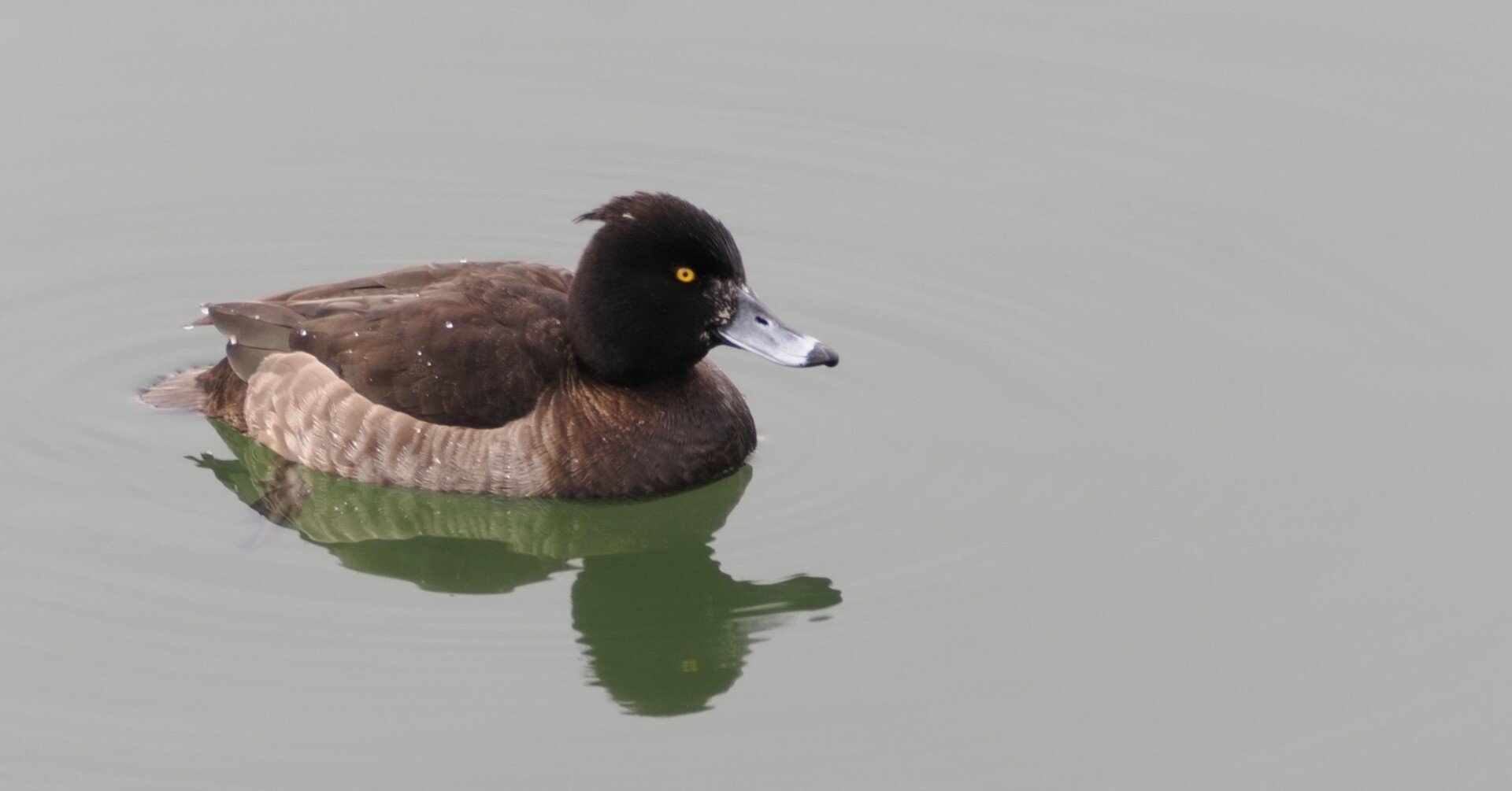 1dc3a4ff80016241de34202ce274bf