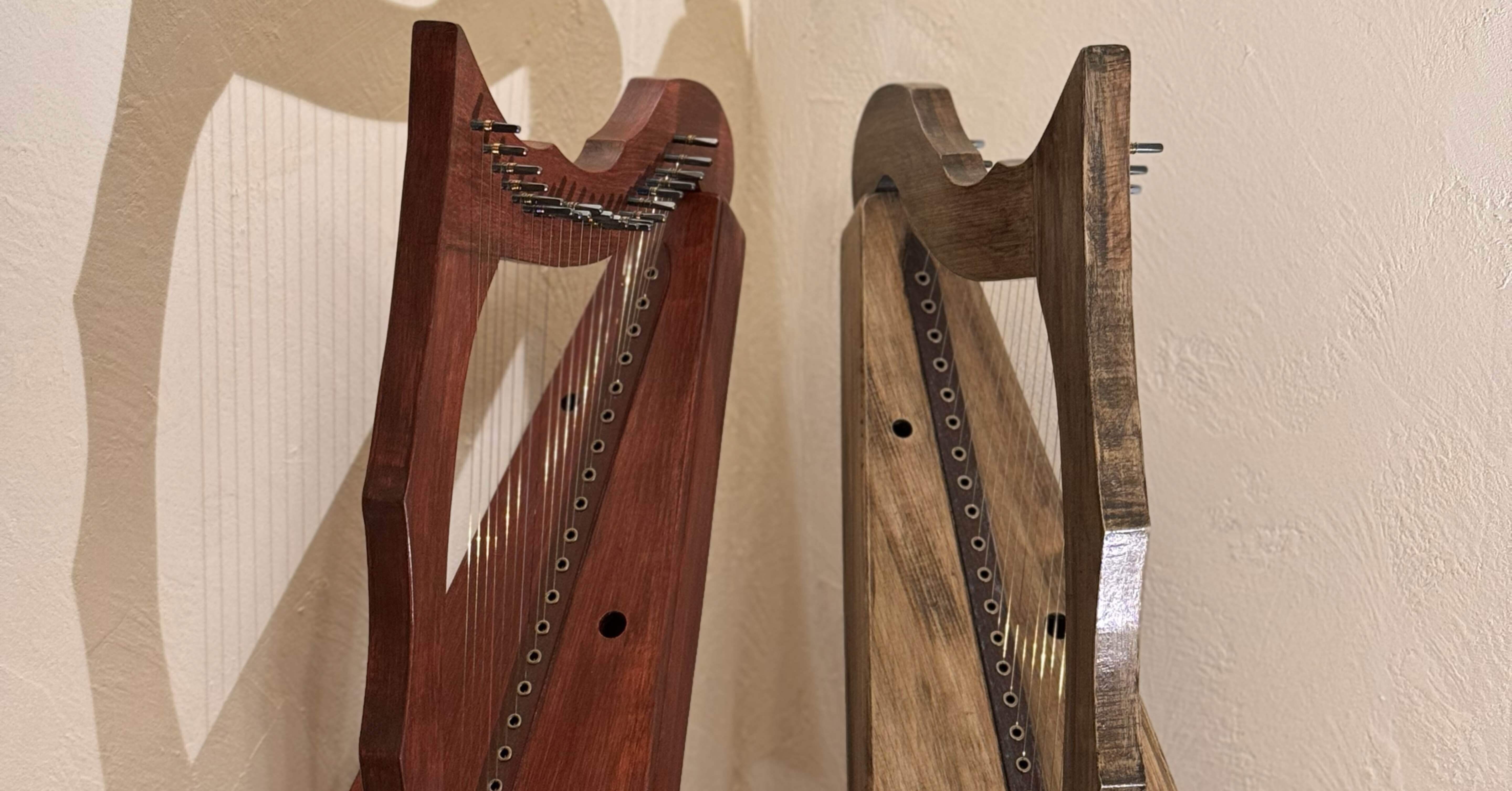 22弦国産ヒノキ製金属弦ハープG3-E6, F#4, F#5｜ハープ 寺本圭佑