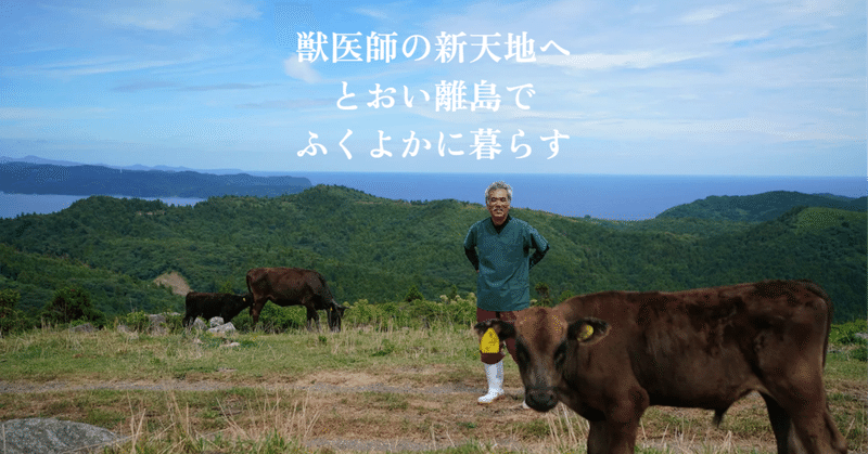 隠岐島前地域の獣医師募集と体験ツアーのご案内