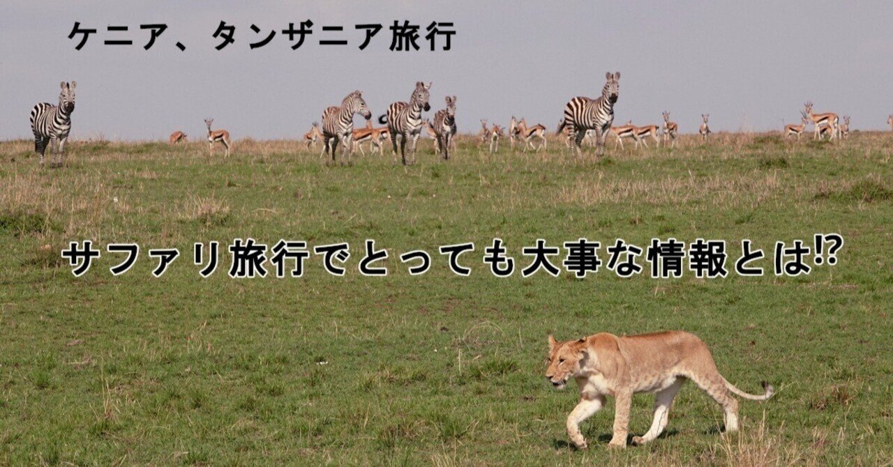 図鑑だけじゃサファリは楽しめない！ もっと大事なことって⁉｜武田ちょ