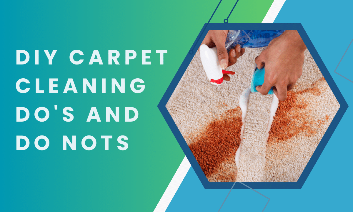 DIY Carpet Cleaning Do's and Don't｜Aberdeen Carpet Cleaning
