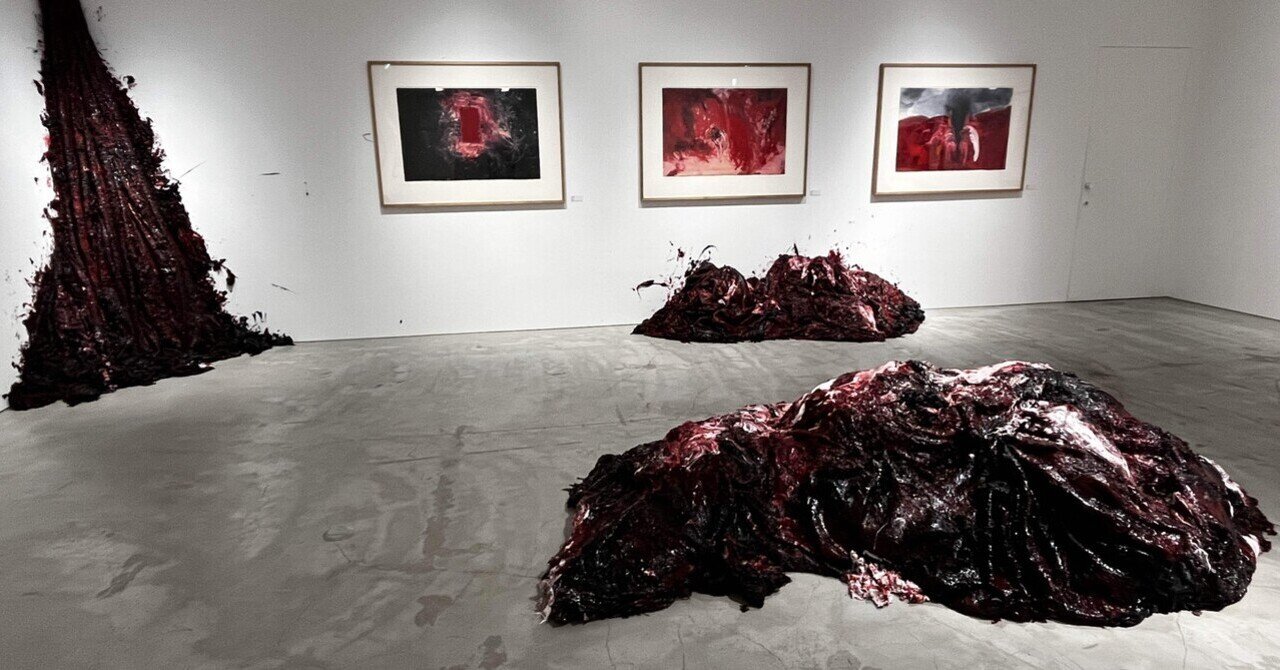 【現代アート・美術・芸術・アニッシュカプーア】アニッシュ・カプーア　図録 図録『ANISH KAPOOR/アニッシュ・カプーア：Museo Archeologico