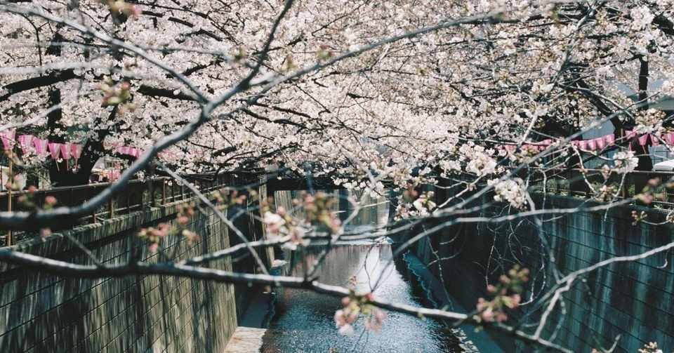 プレ投稿 44歳毒女の千本ノックな婚活日記 結婚のワンチャン作りたい Max Kaoru Note