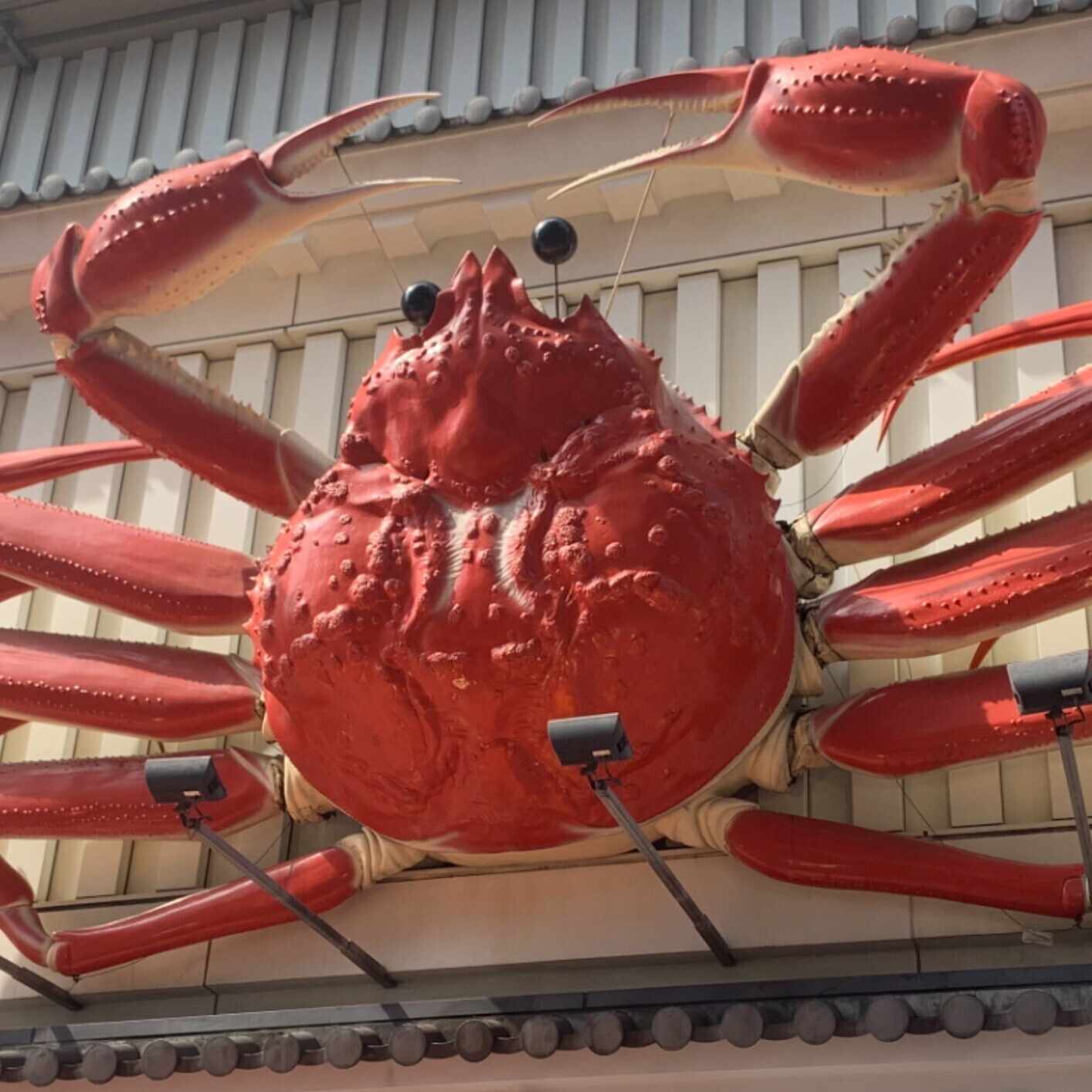 DERAGAYA! 青山吉能 × 長谷川育美』レポのようでレポじゃないもの｜蟹兄貴