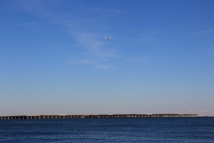 【撮影場所】浮島町公園◆【撮影日】2019.3.9