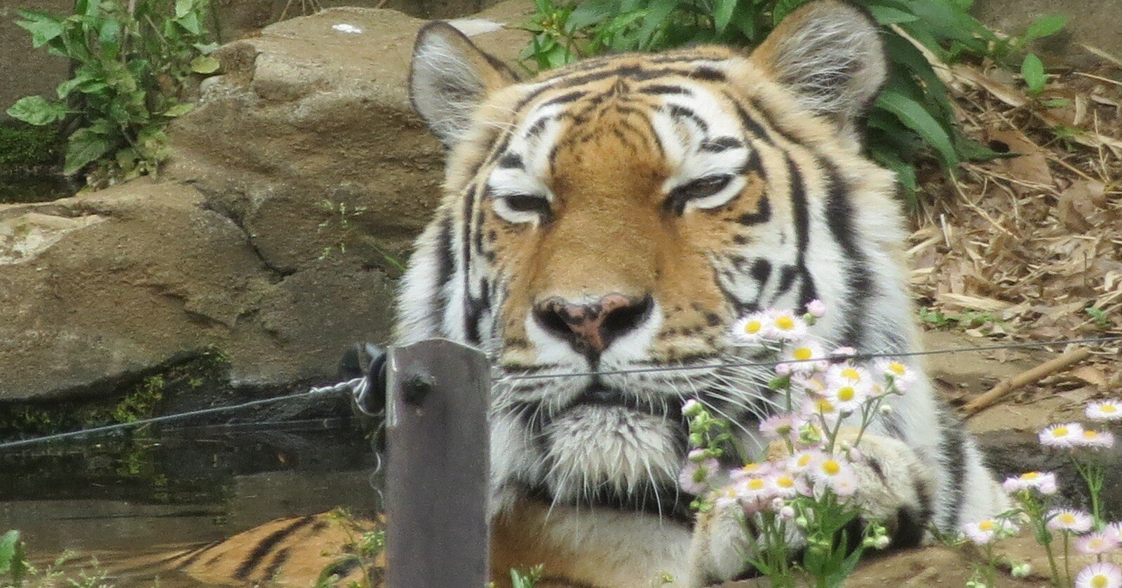 7328c09f624c0d1f981404c6f7879d