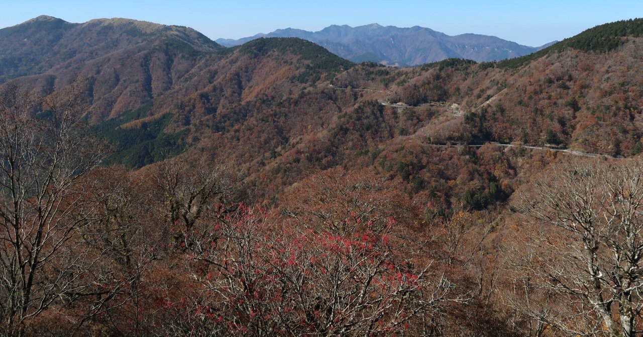 薇陽の山水―三ツ木茂『荷風を追って―1945夏・岡山の80日』を繙く