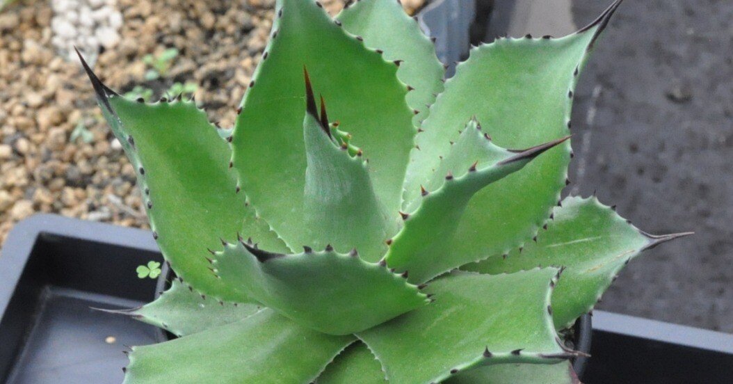 8d5b76f35678aea3cbb94c0bbe9cc5