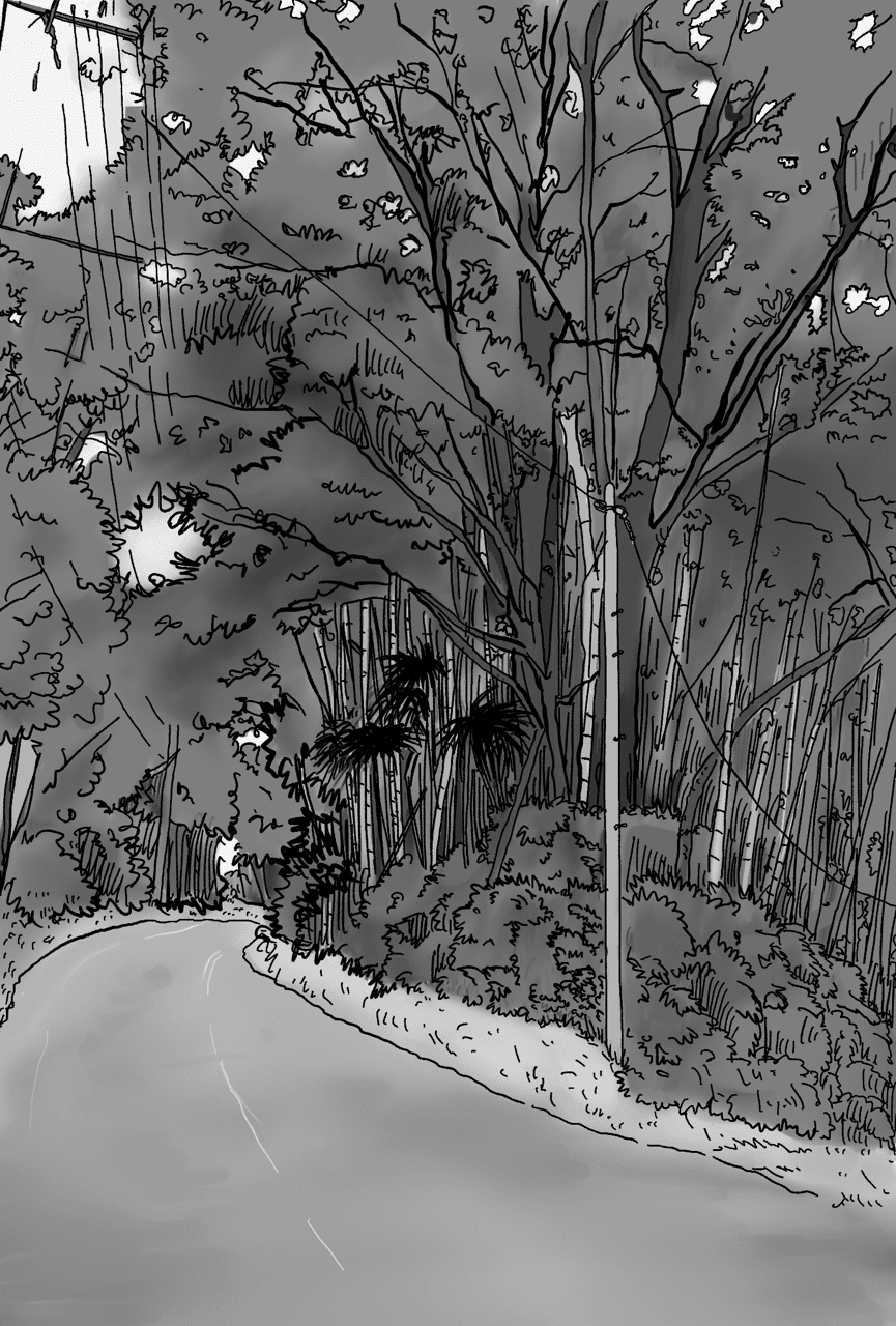 背景練習 竹と雑木 塗り かねきょ 漫画 イラスト Note