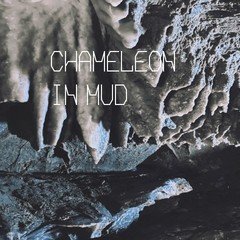 CHAMELEON IN MUD _demo