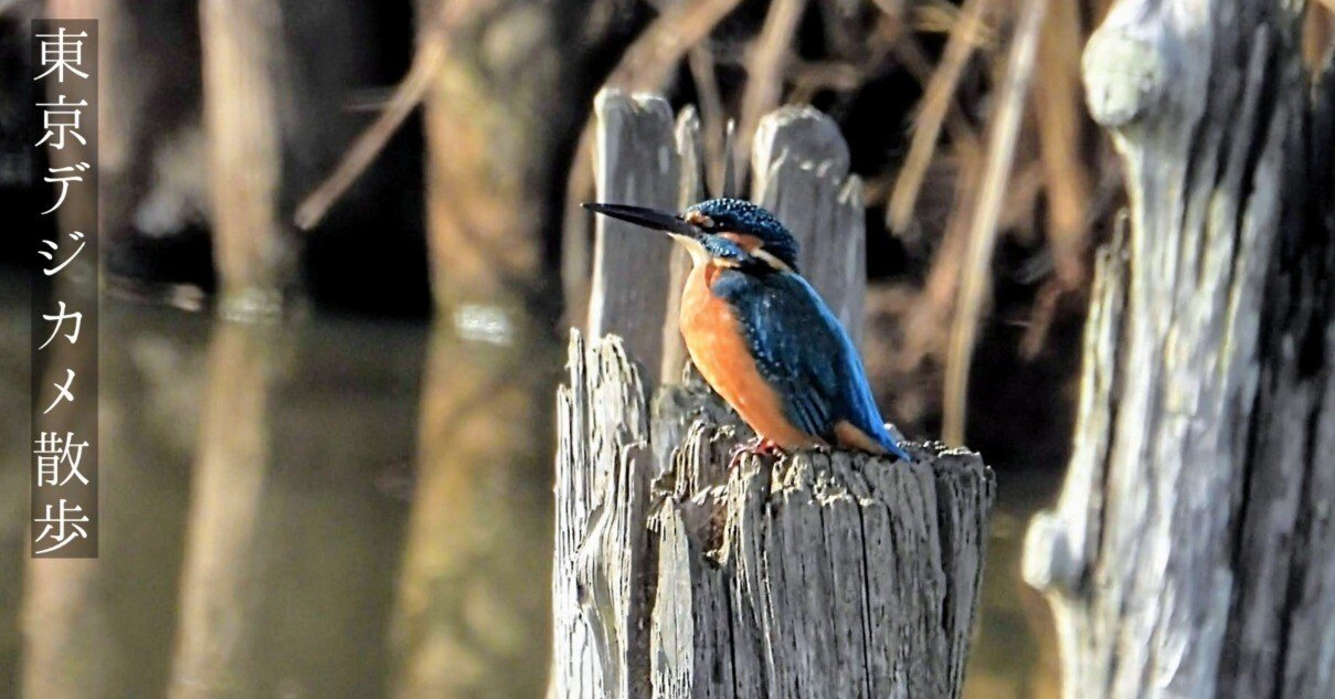 ba68cf96ebeb93314389a724349140