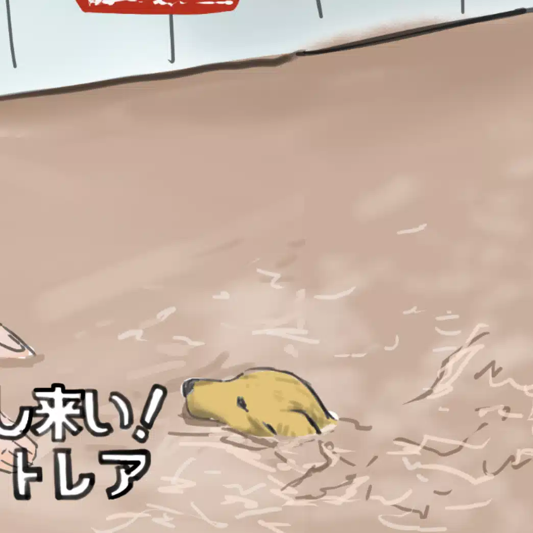 触の手