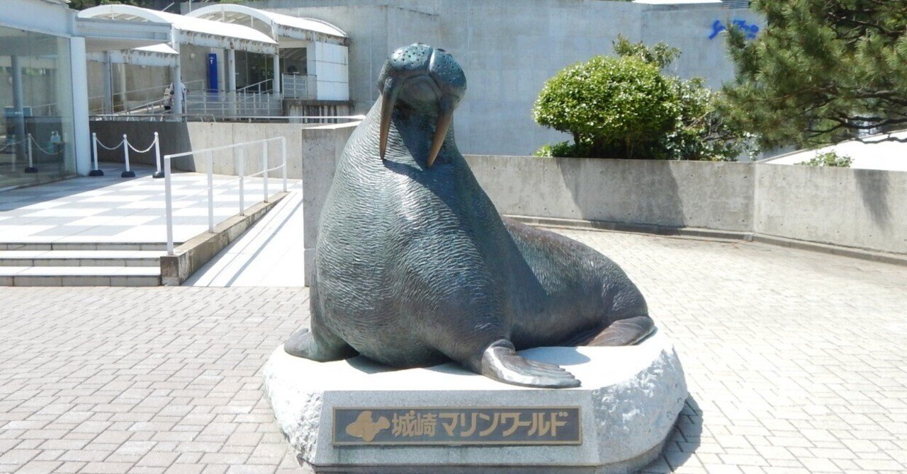 関西水族館巡り①城崎マリンワールド｜保育士みっちゃん
