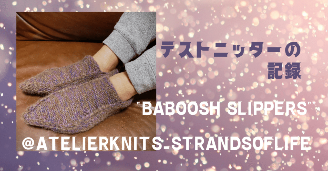 テストニッターの記録