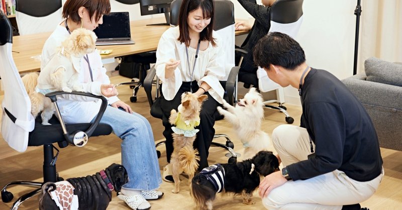 【愛犬家必見！】愛犬と同伴出社できるオフィスに引っ越しました！