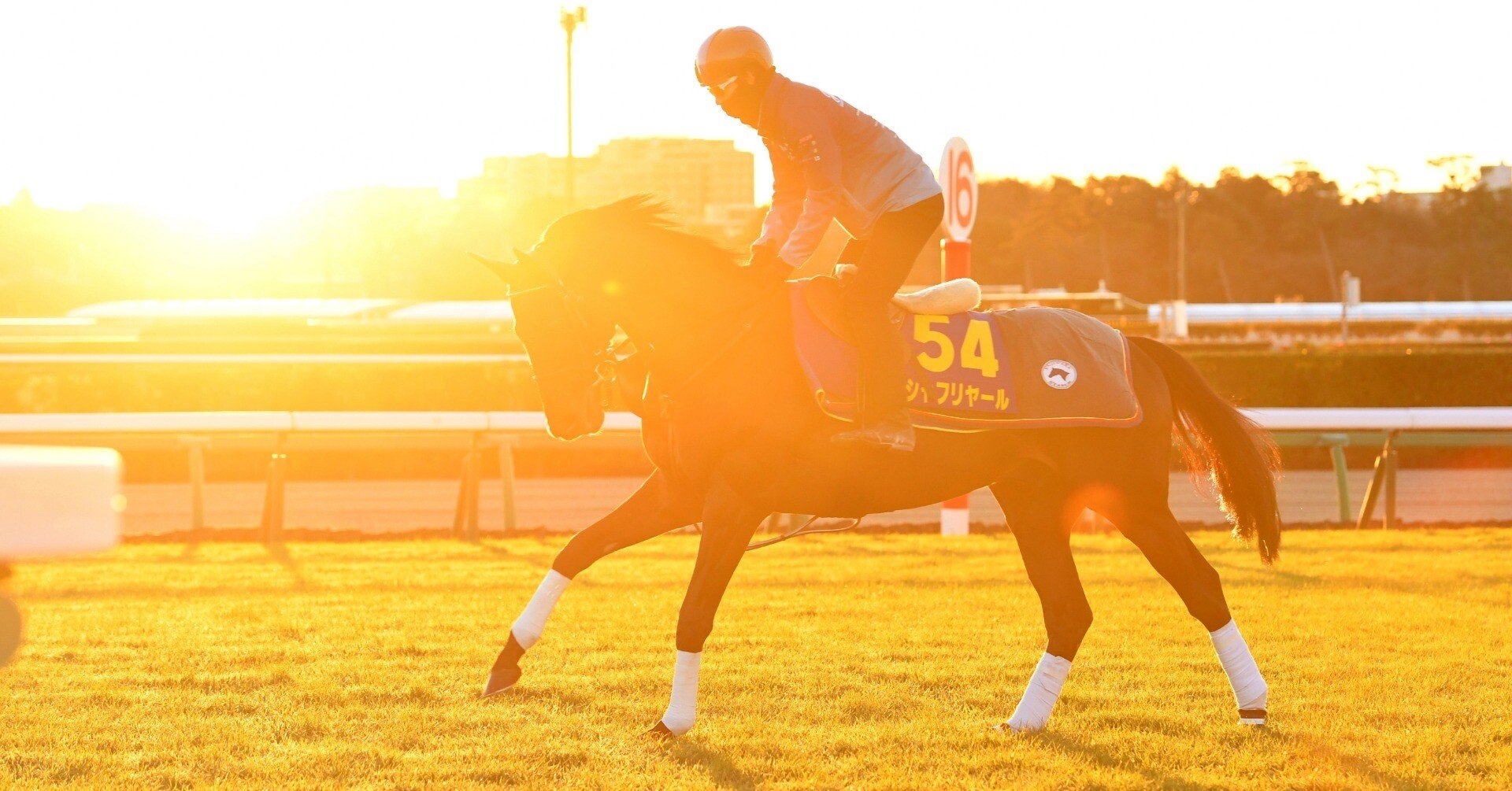 オグリキャップ　1990年有馬記念　ラストラン　単勝的中馬券　現地購入 オグリキャップ 1990年有馬記念 ラストラン 単勝的中馬券 現地