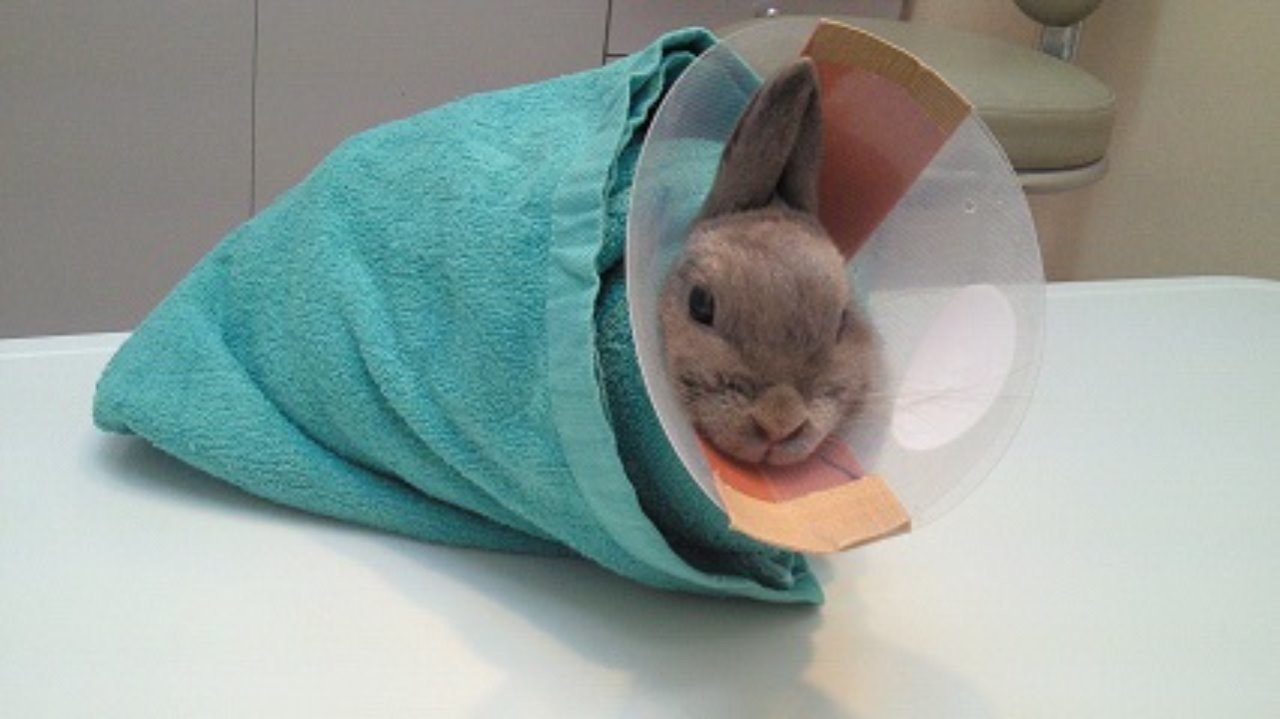 みたび たゆ たうひと Note