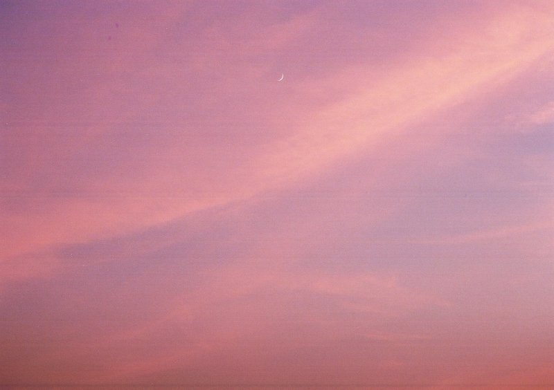 優しいピンクの空へ はな Note