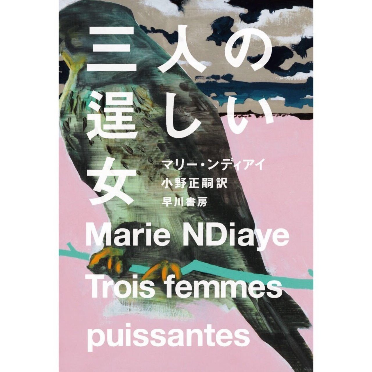 フランス文学最高峰ゴンクール賞受賞作『三人の逞しい女』(マリー ...