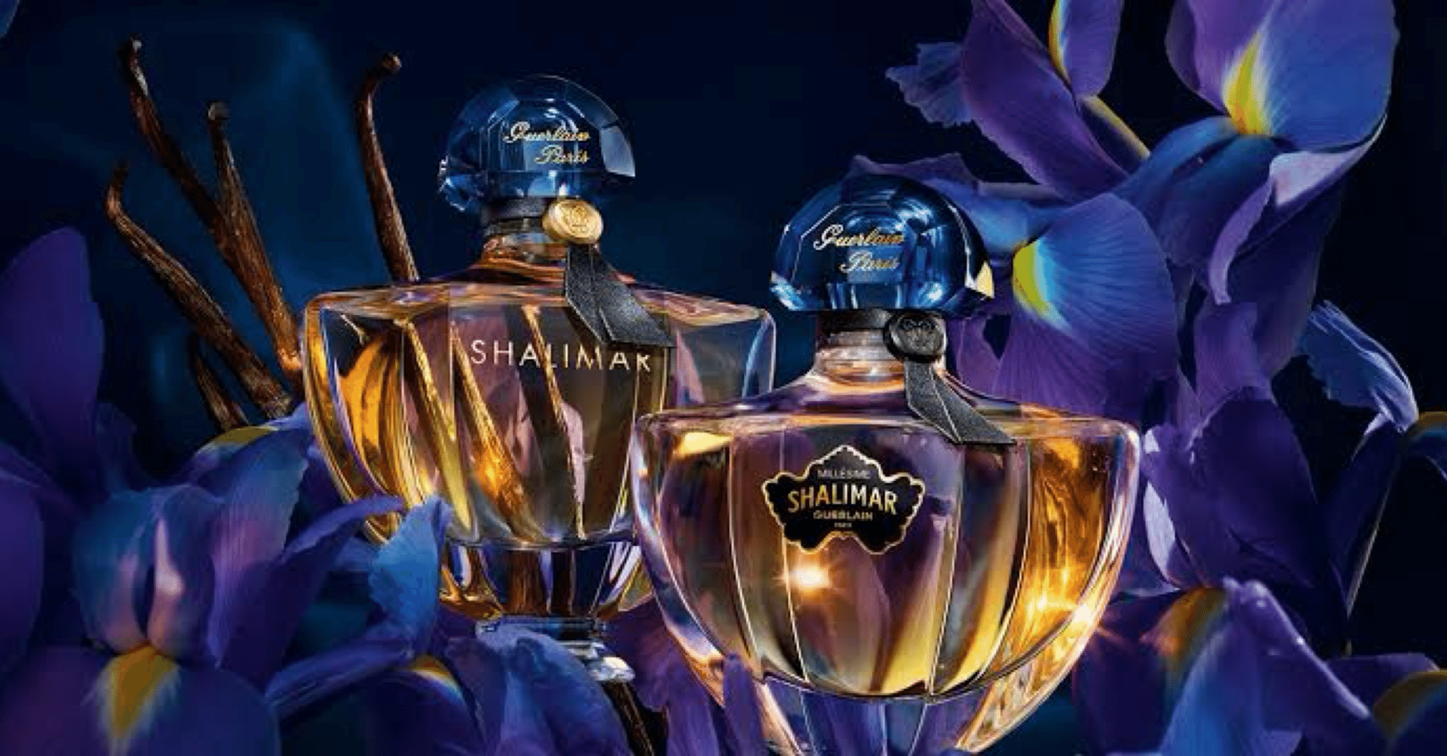 GUERLAIN シャリマー コレクション｜𝕃 ‐ エル ‐ ｜香水と甘いもの