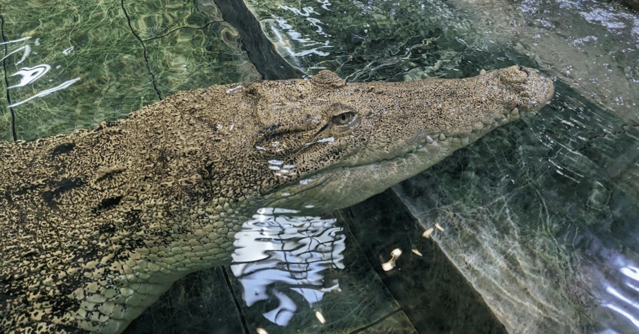 The Lost Universe 古代の巨大ワニ③巨大クロコダイル｜美原さつき