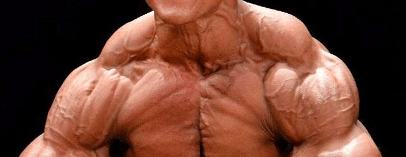 僧帽筋 基礎 起始 停止 機能 Chicken Heart Tv Note