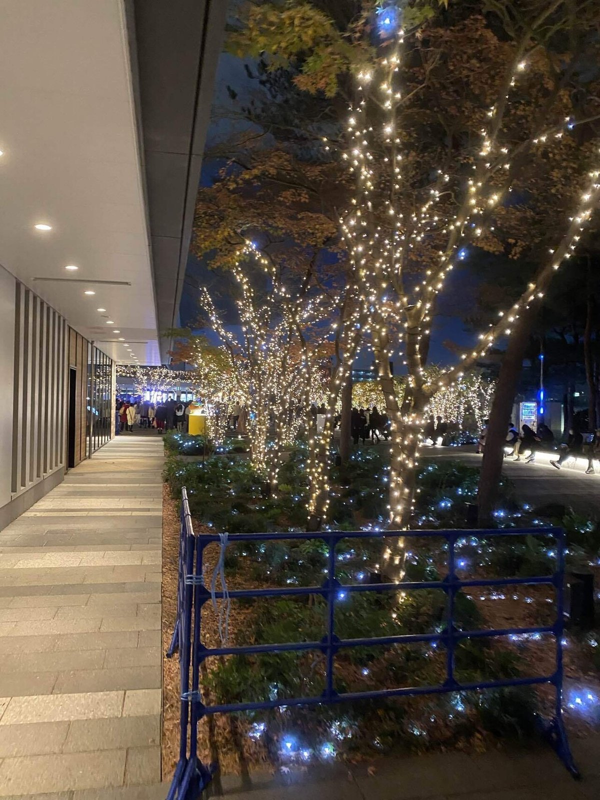 ニンドス プロジェクションマッピング「TOKYO STAR LIGHT“未来へ続く夜空のカーニバル”」｜takaoharada