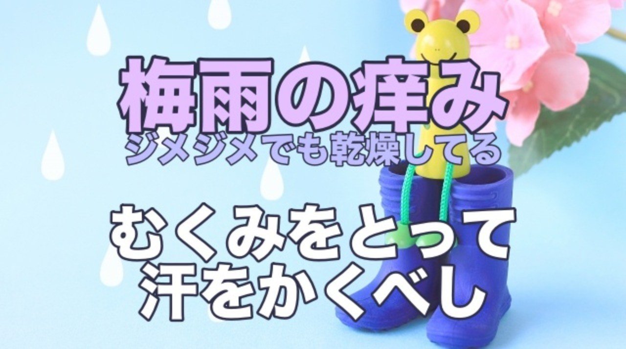 ジメジメしてかゆい時の原因 アトピー改善ナビゲータ阿部英雄 Note