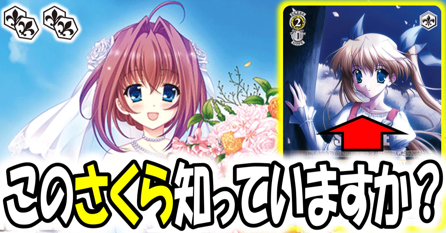 ヴァイス　D.C. 音姫さくら軸 2024年環境はここから始めます D.C.8ストブ【構築記事】｜しむ