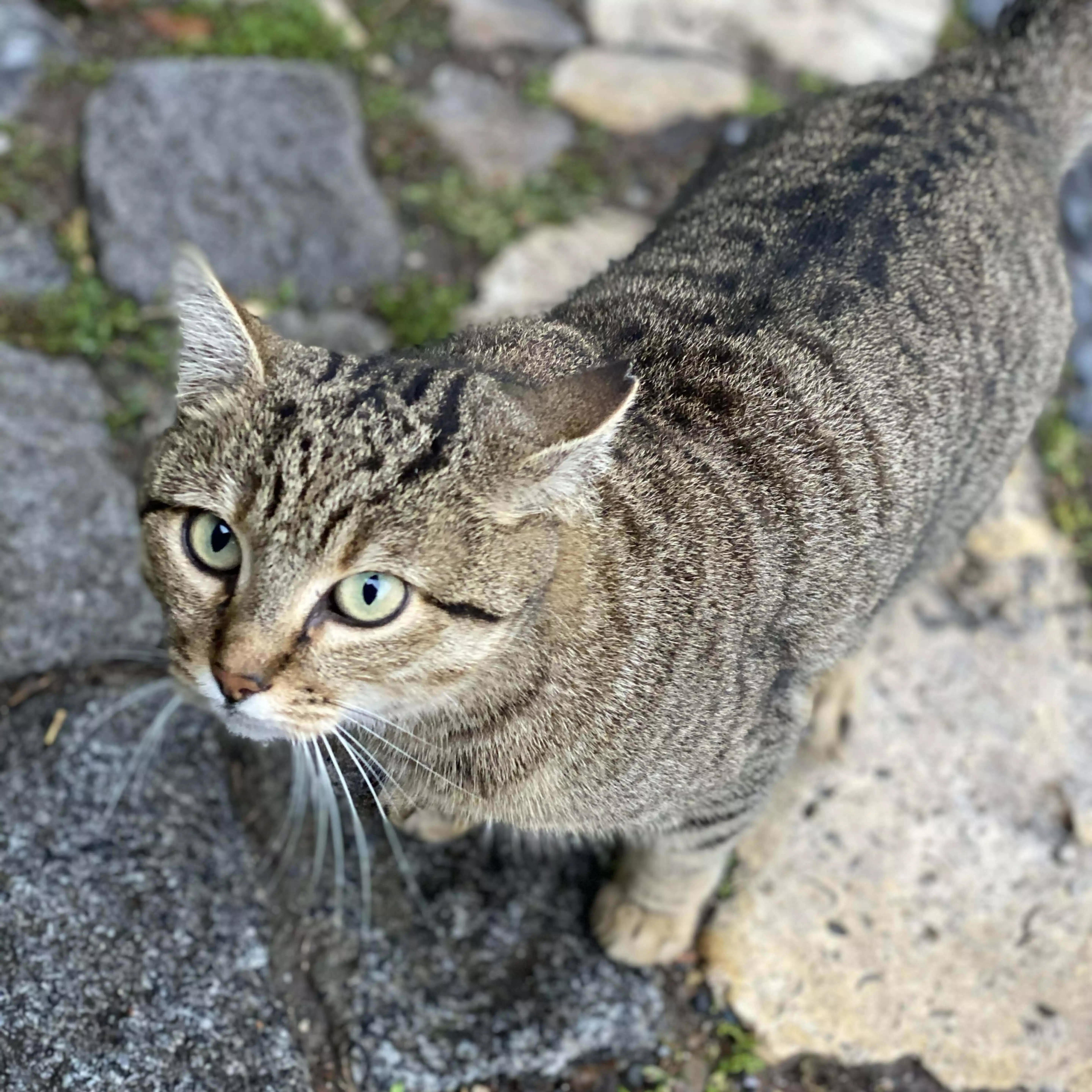 医者を離れてフリーターになった