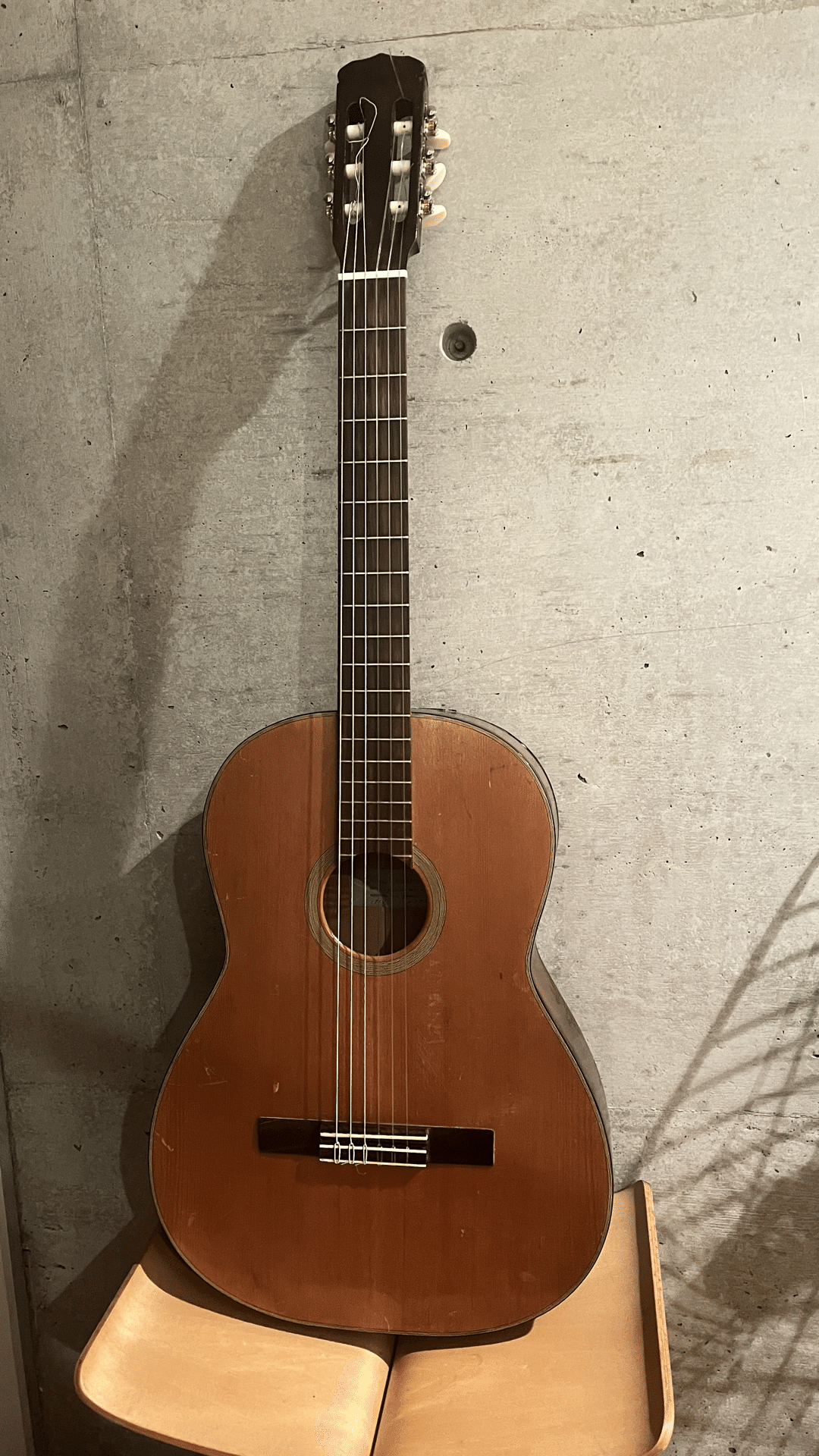 ロックスターが壊したアコースティックギター 楽天市場】【アコースティックギター】VG VG-00 Mahogany BS