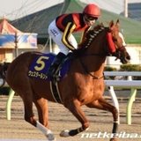 TKOのDATAで競馬予想！