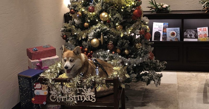 2023年1泊2日クリスマス犬旅行初日！