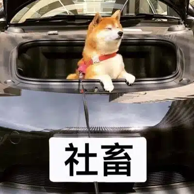 ポルシェ乗りの社畜