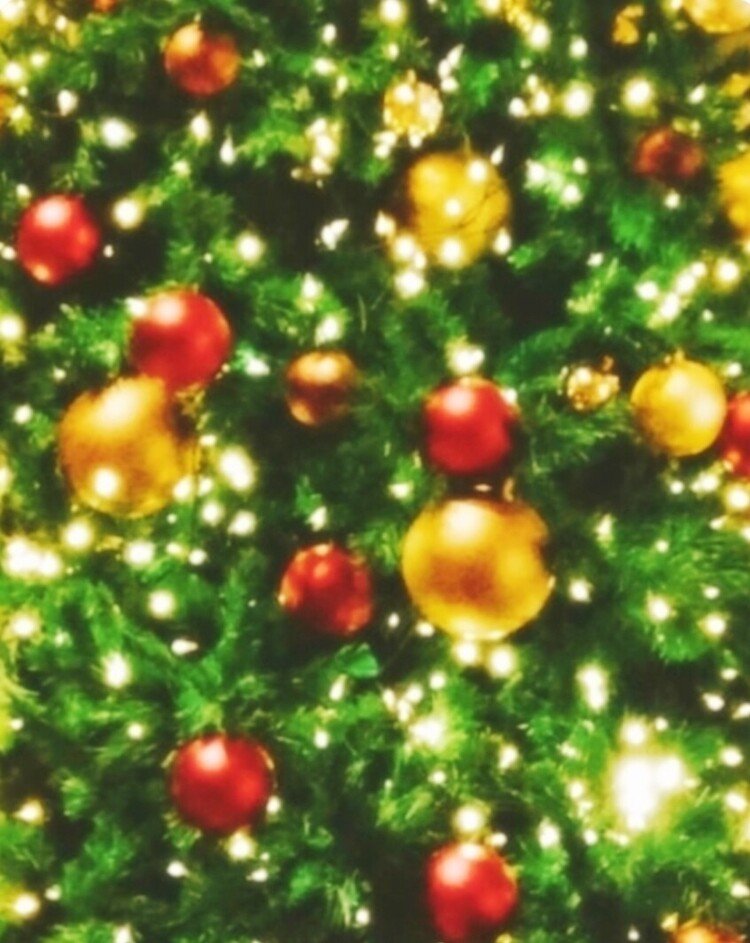
おはようございます。また見かけたクリスマスツリーです。
オーナメントボール（クーゲル）
はりんごで、赤はキリストの血、緑は永遠・草木、白は純潔・雪、金は高貴・星空を表しているとのことですね。ここ最近はオーナメントボールの多いドイツ式ツリーをよく見かけます。
今日もご覧頂きましてありがとうございました。
皆様どうぞ素敵なクリスマスイブの一日をお過ごし下さい。