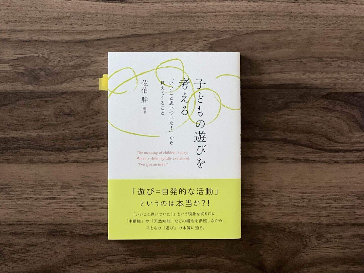 保育・教育関連参考書 保育者におすすめしたい本8選-2023年発行版-｜石川 聖(Ishikawa Satoshi)