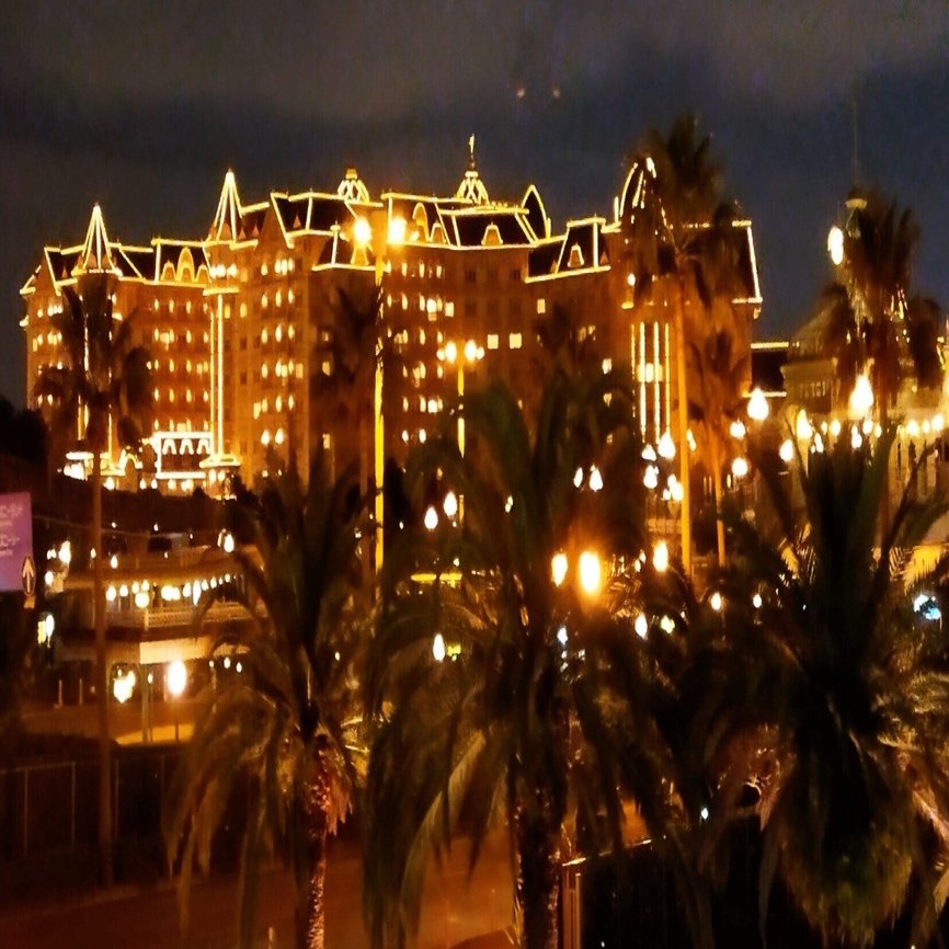 柊（ヒイラギ）🎄クリスマス🎅によせて｜湯じいじ👨‍🦳envspa