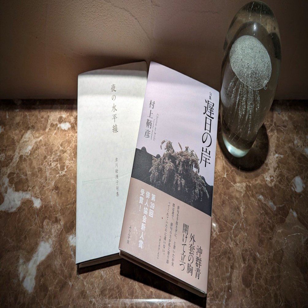 俳句の鑑賞㉟｜紫乃