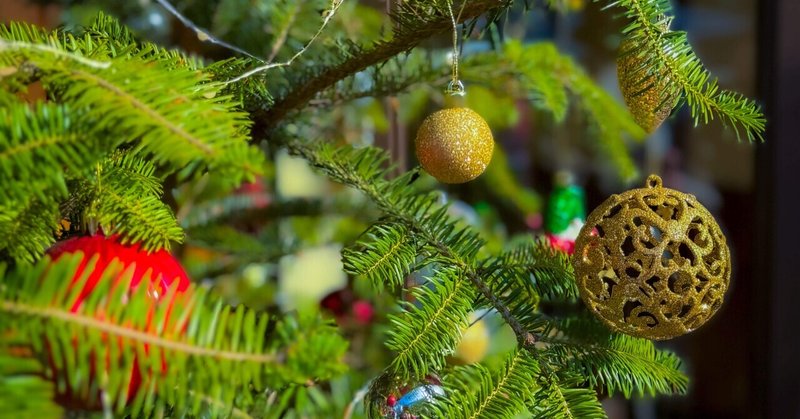 クリスマスツリーはなんでワクワクするの？