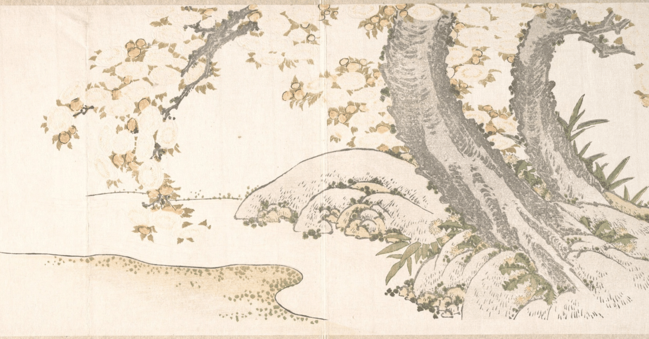 №1秋田杉　一枚板座卓　10帖〜長物　貴重品！ №1秋田杉 一枚板座卓☆長もの貴重品☆10帖～ | あきんどウルワシ 一枚