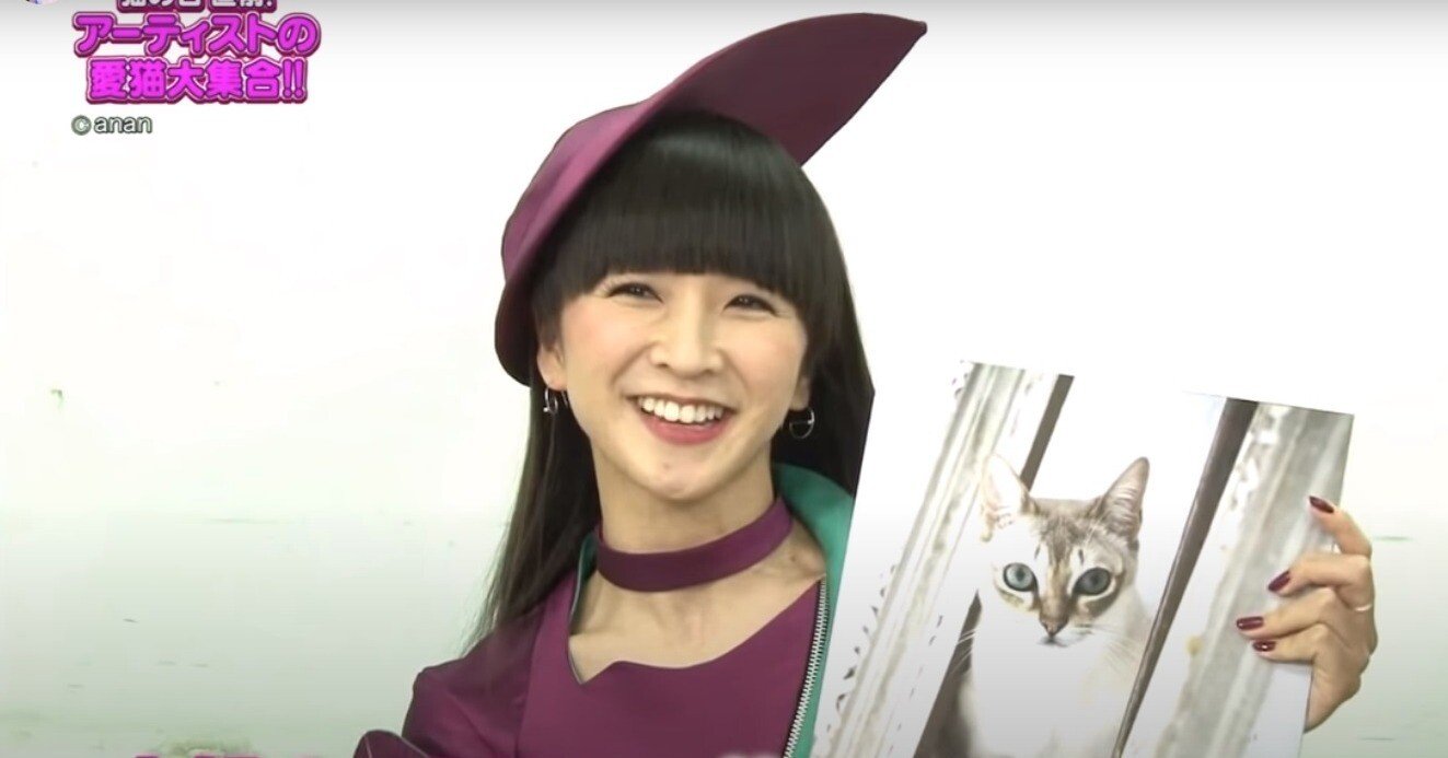 d09d774b2fb00cd429b4cdcd5690c1