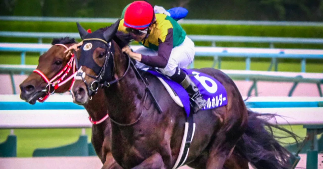 自分らしさを貫くのが重要だ。競馬の有馬記念。ラストランのタイトル 