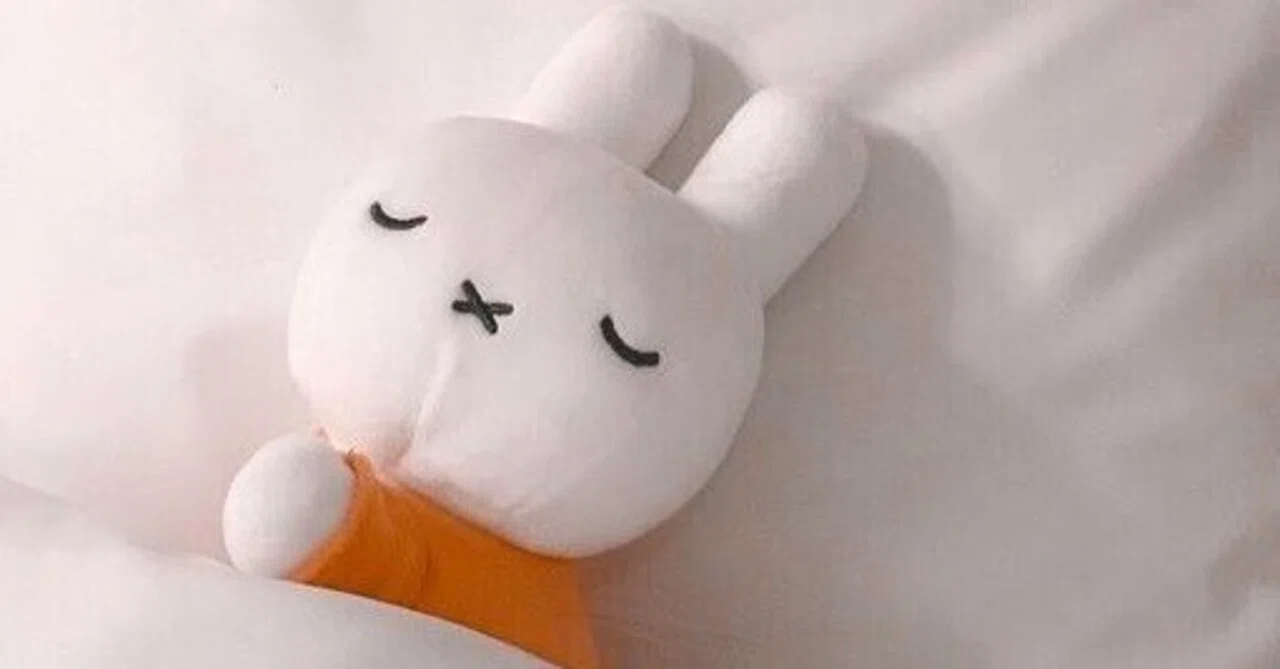 貢ぐ と は