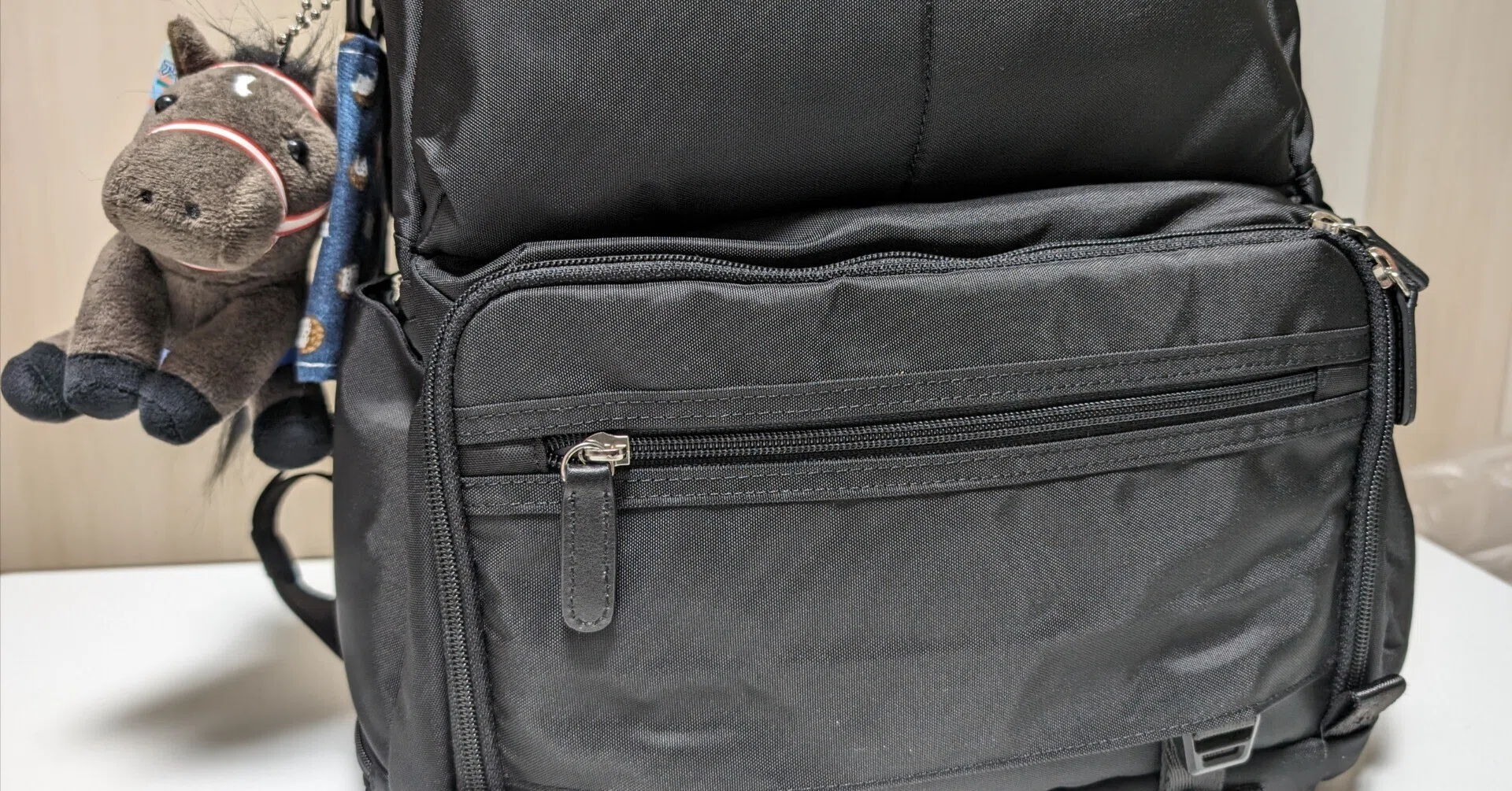 Lintta（リンタ）TravelRucksack トラベルリュックカメラバッグ 予約 