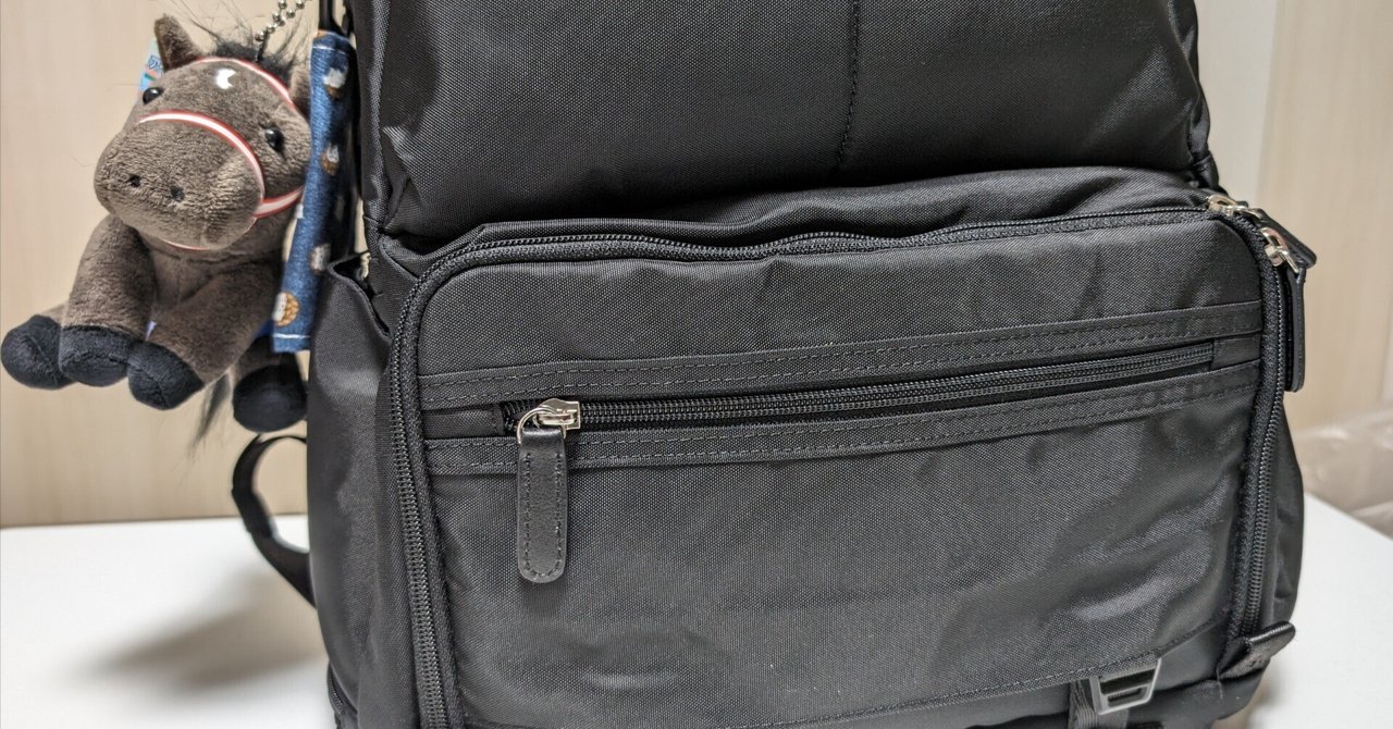 Linttaがやってきた【カメラバック】｜ちせ｜京都歩きすぎ