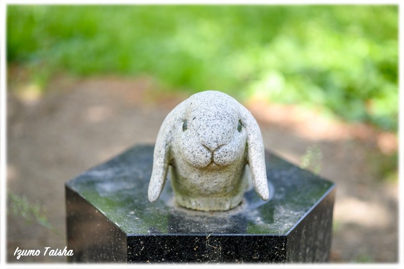 島根 鳥取で 白うさぎ をめぐる旅 ぷらいまり Note 島根 鳥取で 白うさぎ をめぐる旅 ぷらいまり Note
