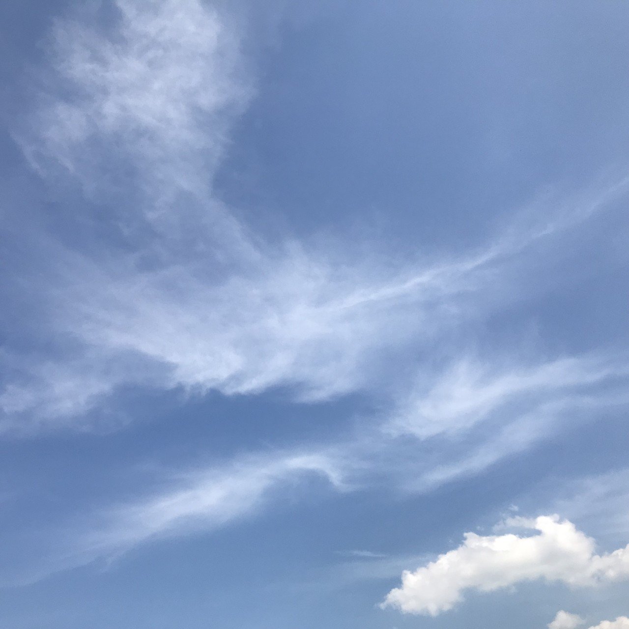 「正しい答えを知りたい!」 そう、一人で悩むことを ほかの言葉で