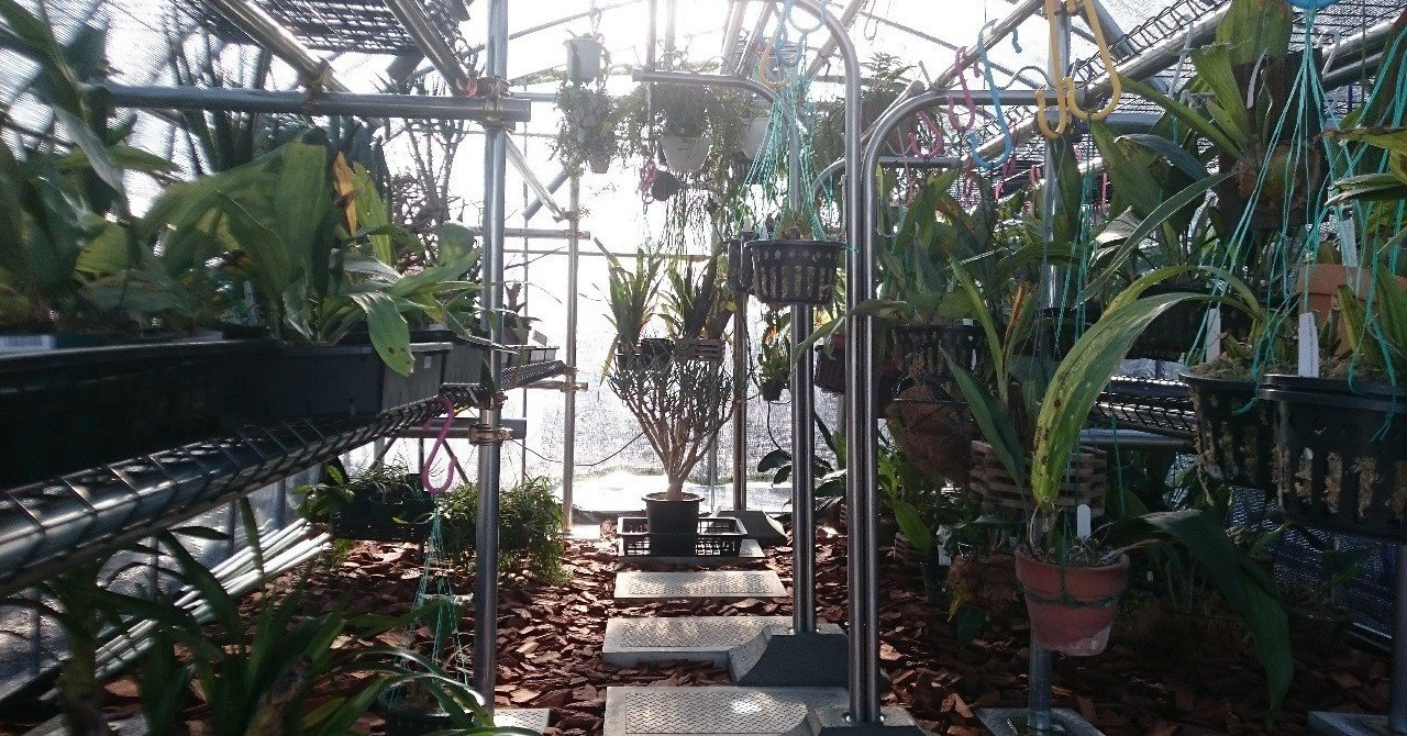 遠藤奮戦記 実家に温室を建てちゃった 遠藤ナーセリー 誕生秘話 Parkers Official Note Note 遠藤奮戦記 実家に温室を建てちゃった 遠藤ナーセリー 誕生秘話 Parkers Official Note Note