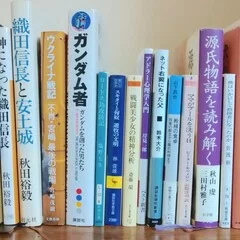 雑談#8 レビュー‥‥の、ようなもの「機動戦士ガンダム 逆襲のシャア