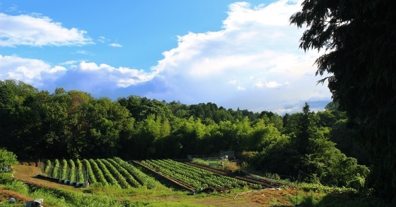 なぜ 地域のpr動画は画一化していくのか 前田考歩 動画活用プロジェクト版 Note